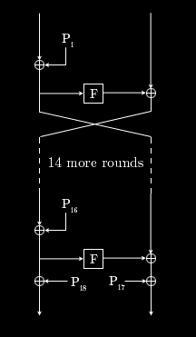 blowfish diagram